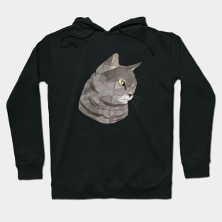 Grey Cat Hoodie